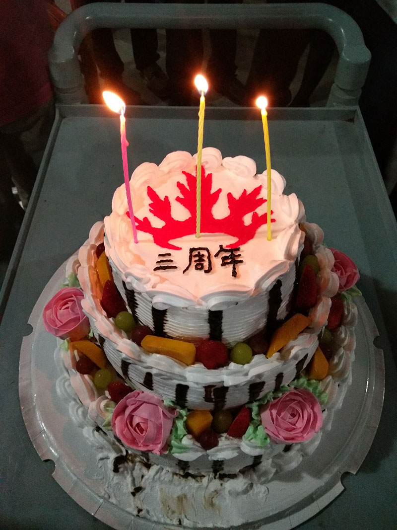 糖心LOGO柚子猫陶喜迎三周年庆，感恩同行